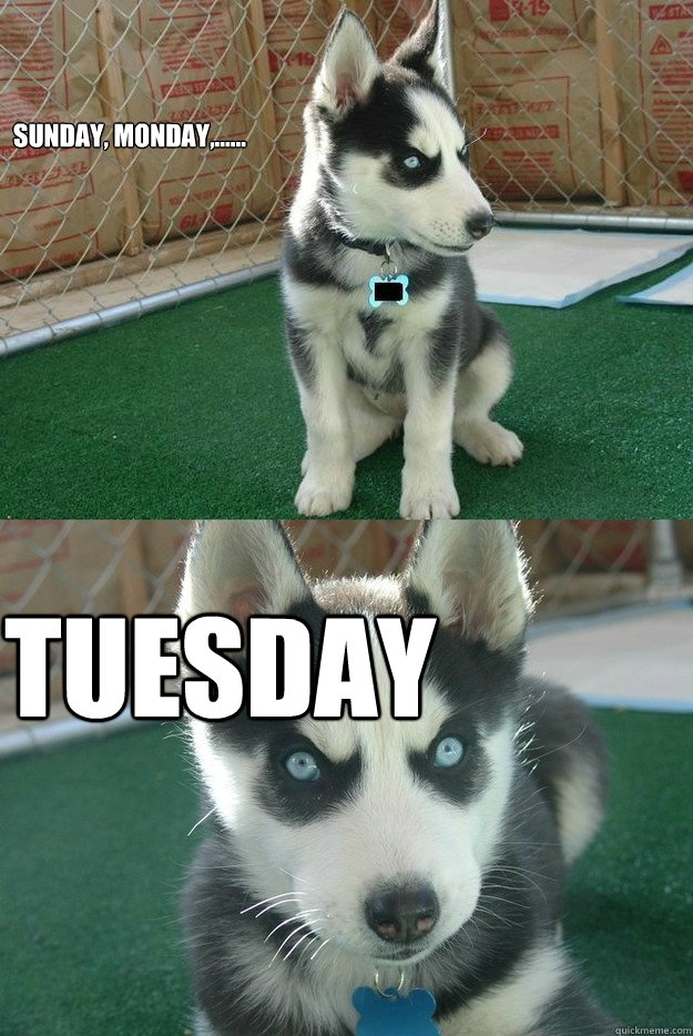 Sunday, Monday,...... Tuesday  - Sunday, Monday,...... Tuesday   Insanity puppy