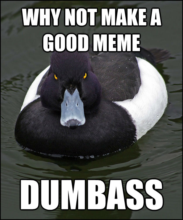 WHY NOT MAKE A GOOD MEME DUMBASS - WHY NOT MAKE A GOOD MEME DUMBASS  Angry Advice Duck