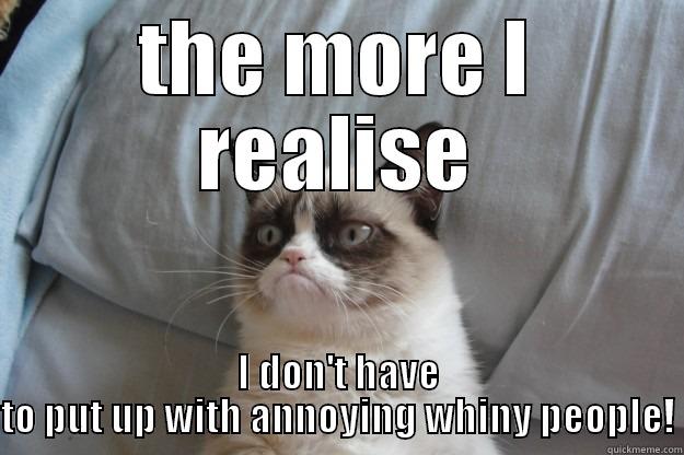 The older I get... - THE MORE I REALISE I DON'T HAVE TO PUT UP WITH ANNOYING WHINY PEOPLE! Grumpy Cat