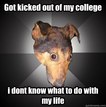 Got kicked out of my college i dont know what to do with my life - Got kicked out of my college i dont know what to do with my life  Depression Dog