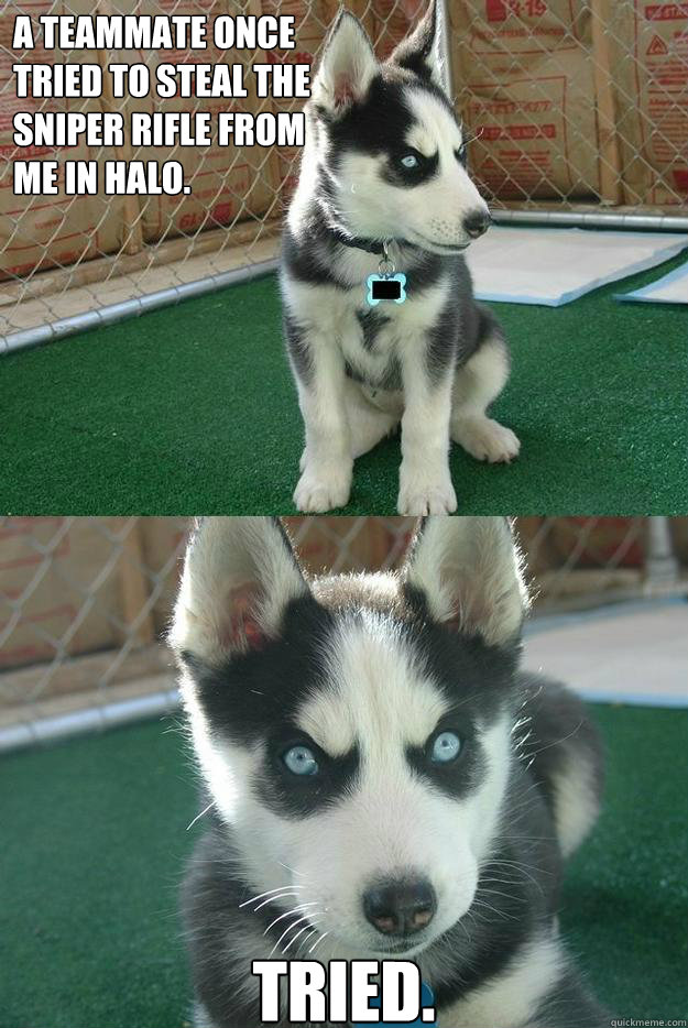 A teammate once 
tried to steal the 
sniper rifle from 
me in halo. Tried.  Insanity puppy