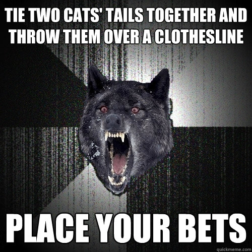 tie two cats' tails together and throw them over a clothesline place your bets - tie two cats' tails together and throw them over a clothesline place your bets  Insanity Wolf