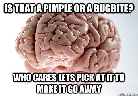 Is that a pimple or a bugbite? who cares lets pick at it to make it go away  - Is that a pimple or a bugbite? who cares lets pick at it to make it go away   Scumbag Brain