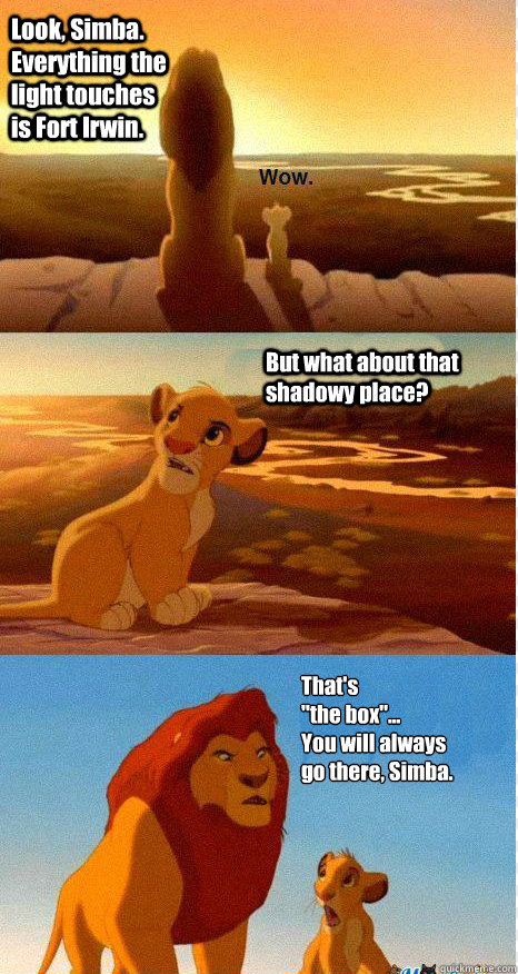 Look, Simba. Everything the light touches is Fort Irwin. But what about that shadowy place? That's 
