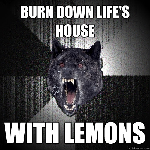 burn down life's house with lemons  Insanity Wolf