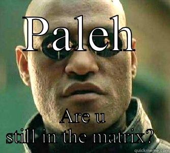 PALEH ARE U STILL IN THE MATRIX?  Matrix Morpheus