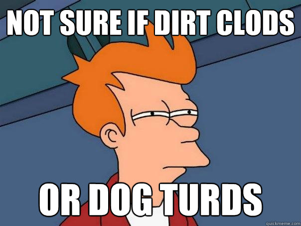 not sure if dirt clods or dog turds  Futurama Fry