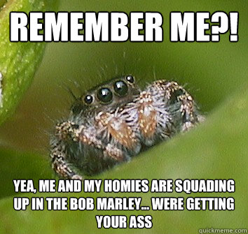 remember me?! yea, me and my homies are squading up in the bob marley... were getting your ass - remember me?! yea, me and my homies are squading up in the bob marley... were getting your ass  Misunderstood Spider