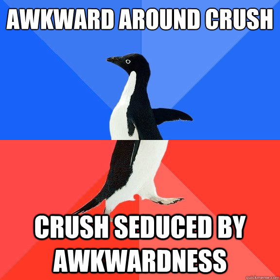 Awkward around crush crush seduced by awkwardness  Socially Awkward Awesome Penguin