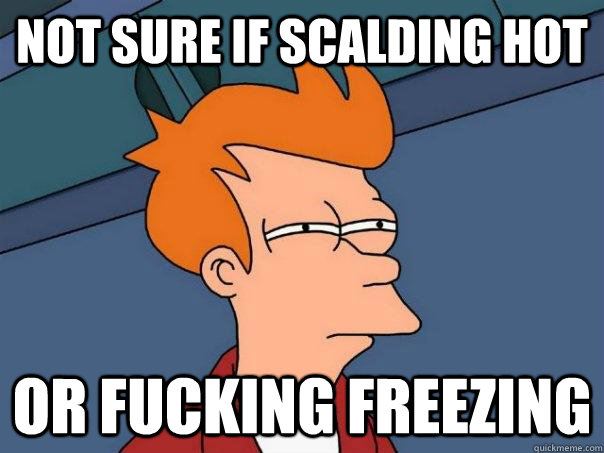 Not Sure if scalding hot or fucking freezing - Not Sure if scalding hot or fucking freezing  Futurama Fry