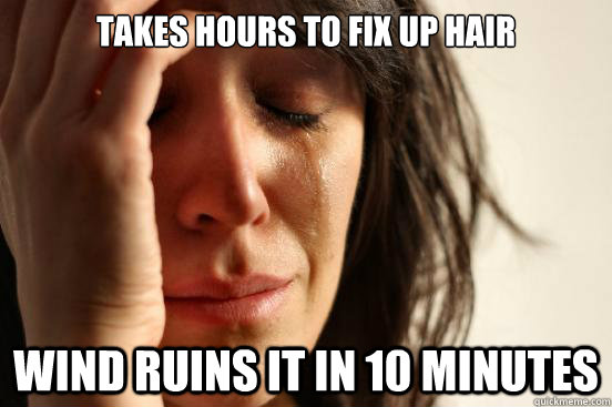 Takes hours to fix up hair Wind ruins it in 10 minutes - Takes hours to fix up hair Wind ruins it in 10 minutes  First World Problems