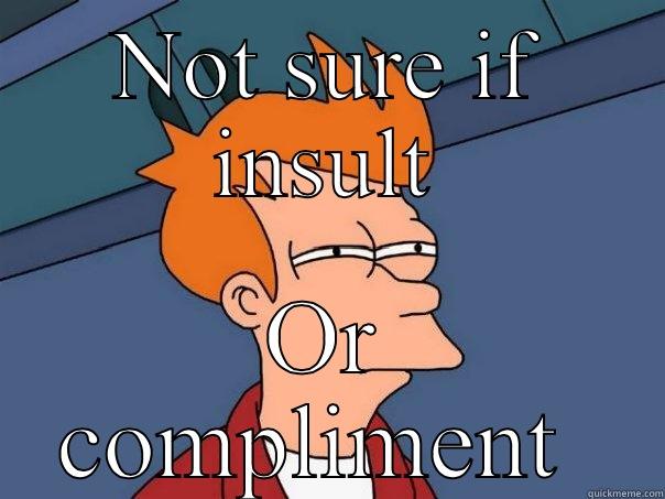 NOT SURE IF INSULT OR COMPLIMENT  Futurama Fry