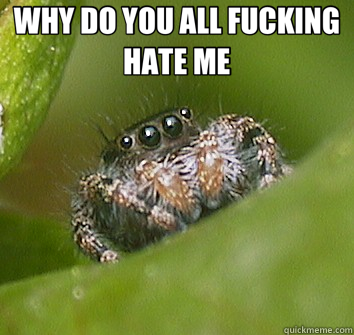 WHY DO YOU ALL FUCKING HATE ME   Misunderstood Spider