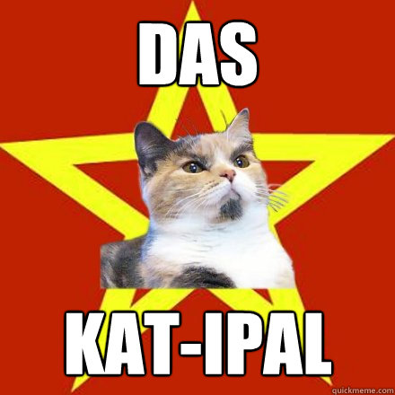 DAS KAT-ipal  Lenin Cat