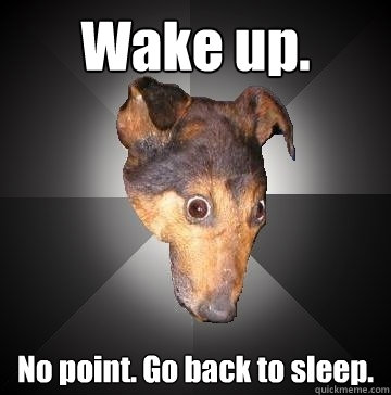 Wake up. No point. Go back to sleep.  Depression Dog