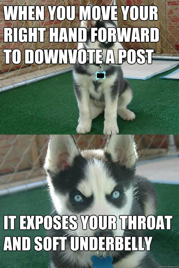 When you move your right hand forward to downvote a post It exposes your throat and soft underbelly  Insanity puppy