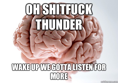 Oh shitfuck thunder Wake up we gotta listen for more  Scumbag Brain