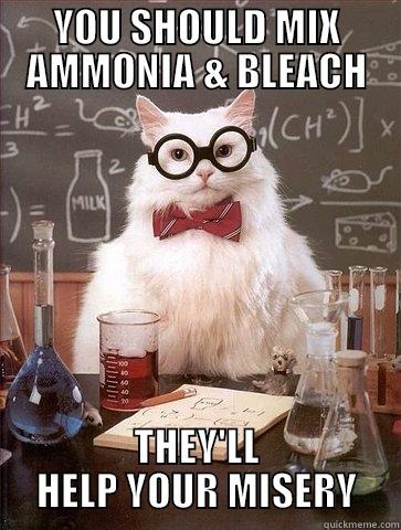 YOU SHOULD MIX AMMONIA & BLEACH THEY'LL HELP YOUR MISERY Chemistry Cat