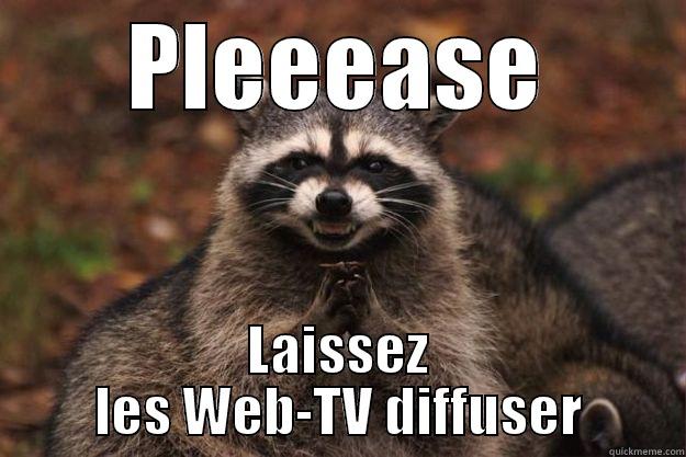 PLEEEASE LAISSEZ LES WEB-TV DIFFUSER Evil Plotting Raccoon