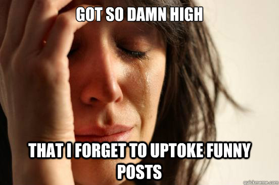 Got so damn high that i forget to uptoke funny posts  First World Problems