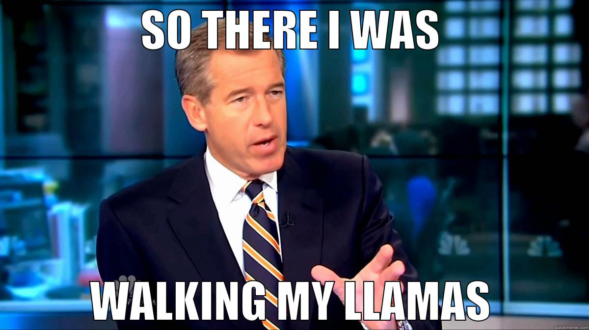 Brian Williams and Llamas - SO THERE I WAS WALKING MY LLAMAS Misc