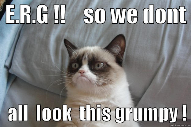  E.R.G !!    SO WE DONT     ALL  LOOK  THIS GRUMPY ! Grumpy Cat