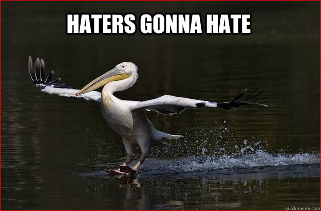 Haters gonna hate  