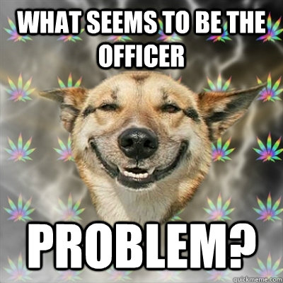 what seems to be the officer problem?  Stoner Dog