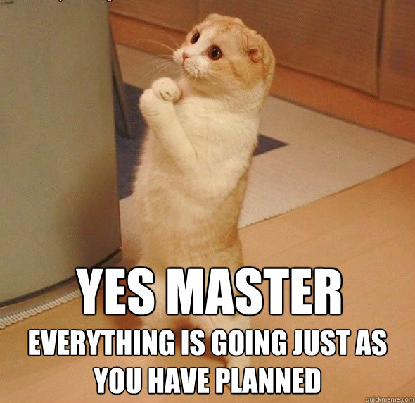yes master everything is going just as you have planned Caption 3 goes here - yes master everything is going just as you have planned Caption 3 goes here  Obedient Servant Cat