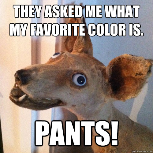 They asked me what my favorite color is. pants!  