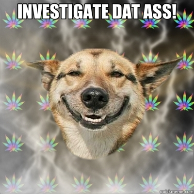 INVESTIGATE DAT ASS!   Stoner Dog