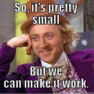 SO, IT'S PRETTY SMALL BUT WE CAN MAKE IT WORK. Condescending Wonka