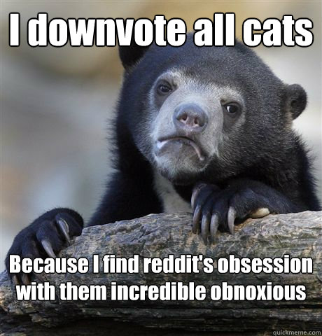 I downvote all cats Because I find reddit's obsession with them incredible obnoxious  Confession Bear