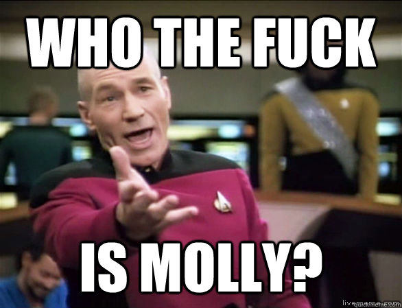 WHO THE FUCK IS MOLLY? - WHO THE FUCK IS MOLLY?  Annoyed Picard HD