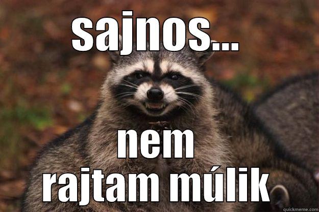 SAJNOS... NEM RAJTAM MÚLIK Evil Plotting Raccoon