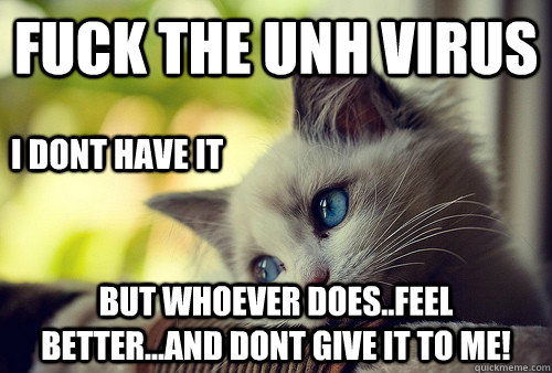 fuck the UNH virus but whoever does..feel better...AND dont give it to me! i dont have it  First World Problems Cat