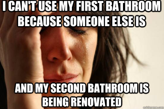 I can't use my first bathroom because someone else is and my second bathroom is being renovated  First World Problems