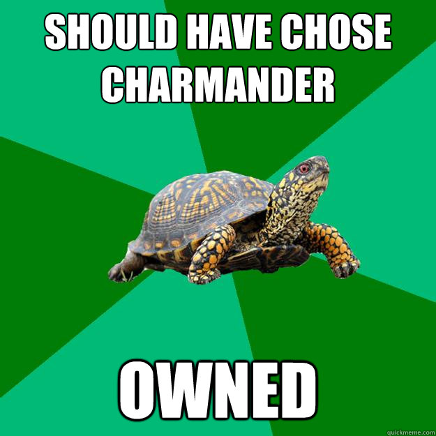 SHOULD HAVE CHOSE CHARMANDER owned - SHOULD HAVE CHOSE CHARMANDER owned  Torrenting Turtle