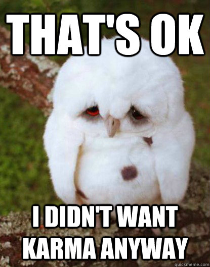 That's ok i didn't want karma anyway  Depressed Baby Owl