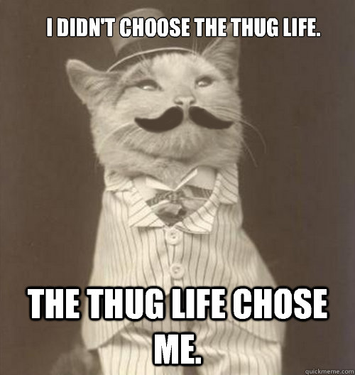 I didn't choose the Thug Life. The Thug Life Chose Me.  Original Business Cat