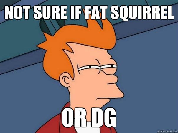 Not sure if Fat squirrel Or DG  Futurama Fry