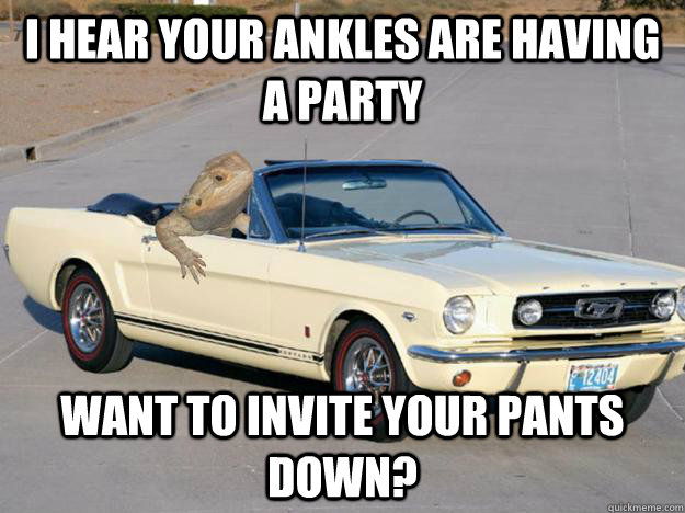 I hear your ankles are having a party want to invite your pants down?  Pickup Dragon