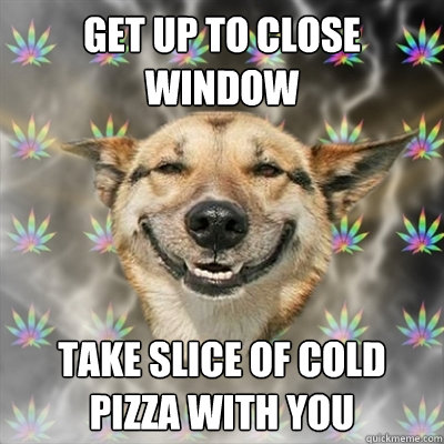 Get up to close window take slice of cold pizza with you - Get up to close window take slice of cold pizza with you  Stoner Dog