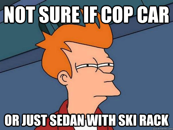 Not sure if cop car Or just sedan with ski rack  Futurama Fry