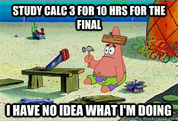 Study Calc 3 for 10 hrs for the final I have no idea what i'm doing  I have no idea what Im doing - Patrick Star