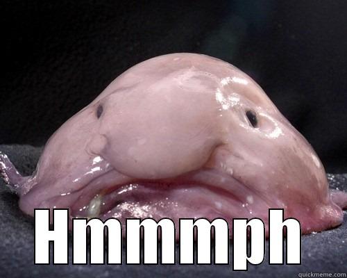 Blobfish hmmph -  HMMMPH Misc