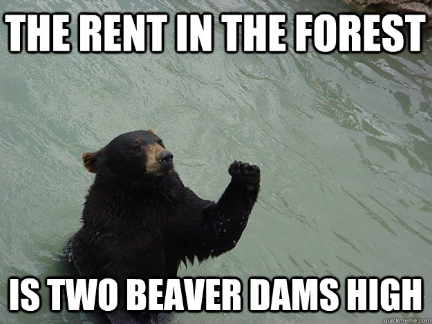 The Rent In the Forest Is Two Beaver Dams High   Vengeful Bear