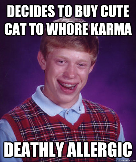 Decides to buy cute cat to whore karma Deathly allergic - Decides to buy cute cat to whore karma Deathly allergic  Bad Luck Brian