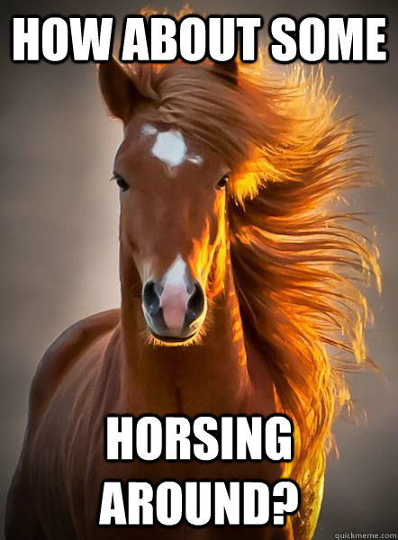 How about some  horsing around?  Ridiculously Photogenic Horse