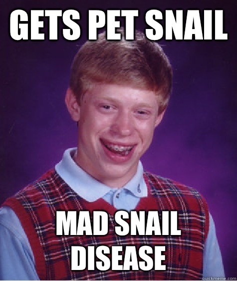 gets pet snail MAD SNAIL DISEASE  Bad Luck Brian